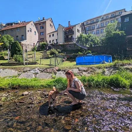 Apartment Urlaubsmagie - Honigfels - Garten, Sauna & Pool