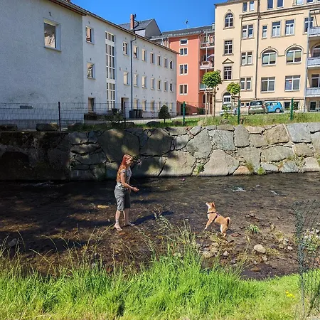 Apartment Urlaubsmagie - Honigfels - Garten, Sauna & Pool Sebnitz